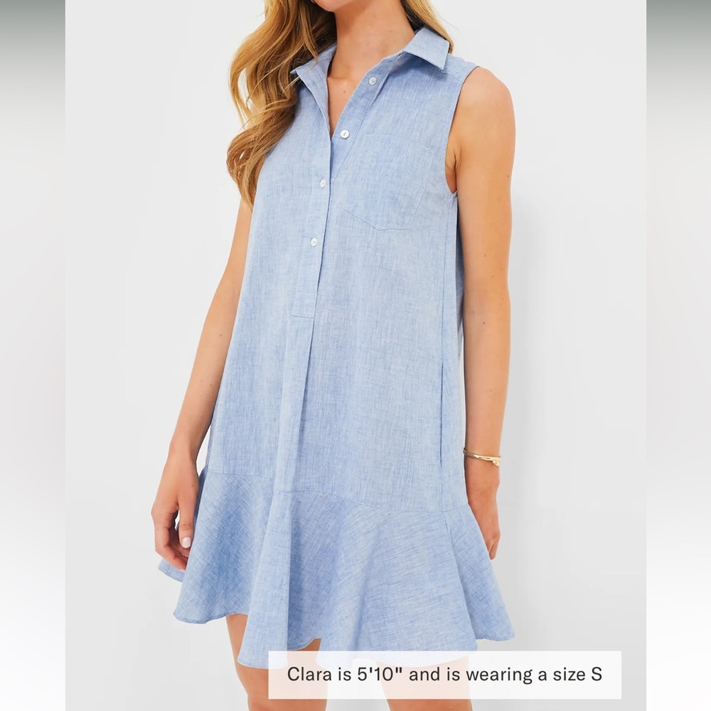 Tuckernuck Blue Sleeveless A-Line Mini Dress